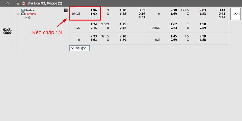 Ví dụ kèo chấp 0.25 qua 2 đội Puebla vs Pachuca